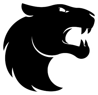 Furia Esports